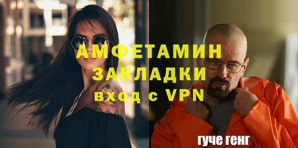 гидра Михайловка