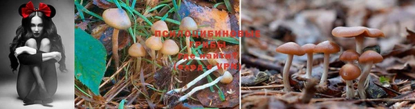 меф VHQ Сясьстрой