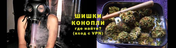 гидра Михайловка