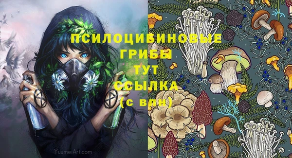 спайс Осинники