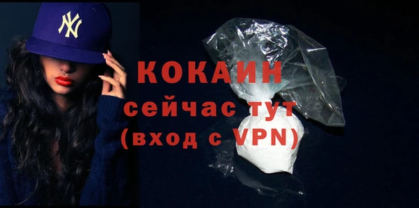 гидра Михайловка