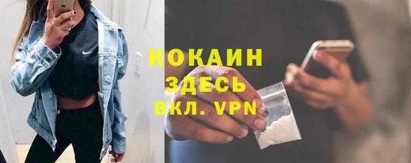 гидра Михайловка