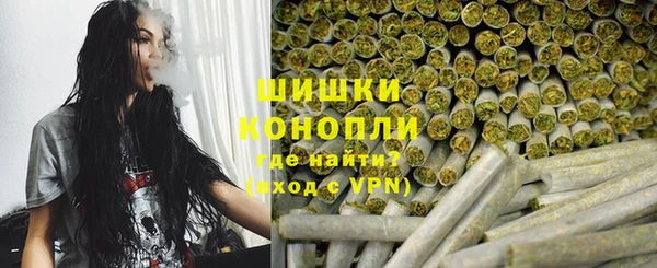 гидра Михайловка