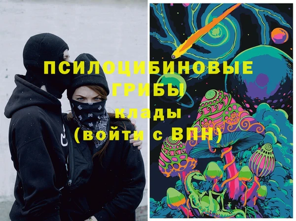 СК Покровск