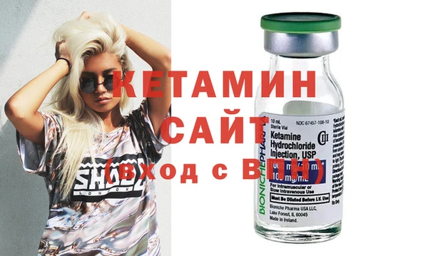стаф Тайга