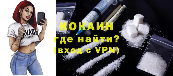гидра Михайловка