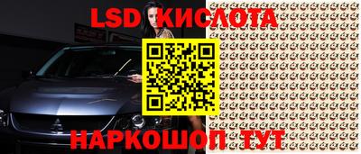 прущие грибы Балаково