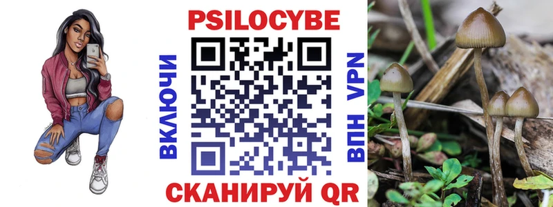 KRAKEN вход  продажа наркотиков  Ржев  Галлюциногенные грибы Magic Shrooms 