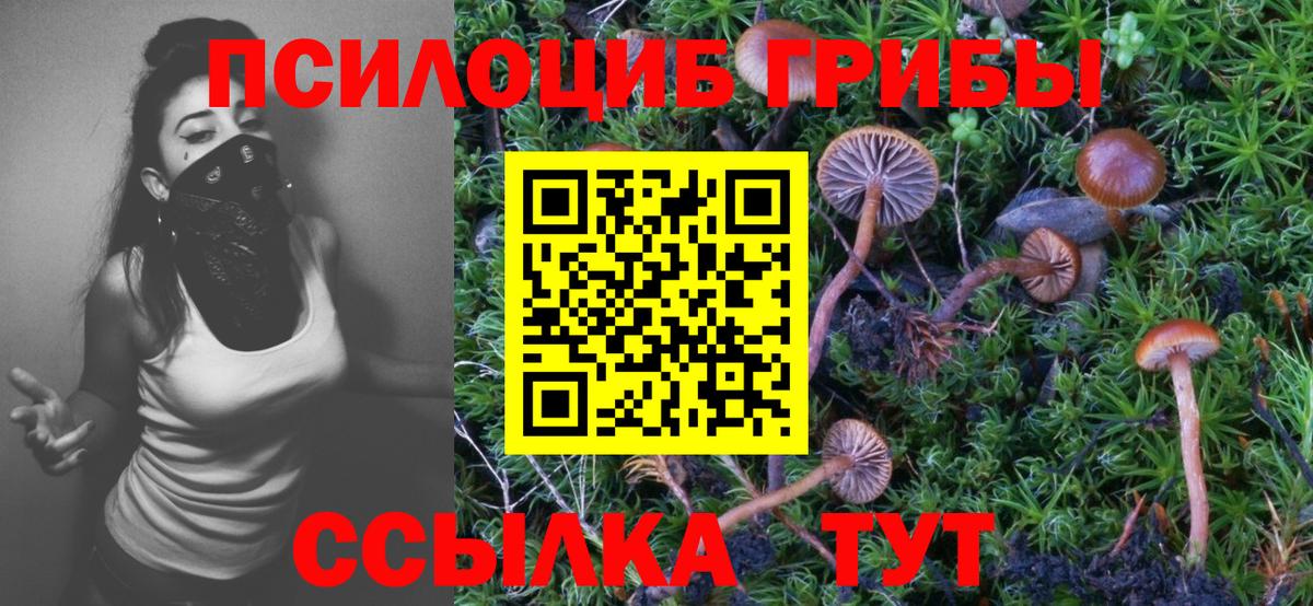 Галлюциногенные грибы прущие грибы Ржев