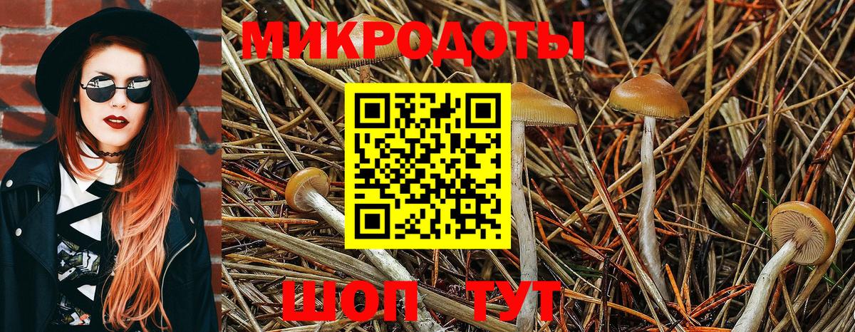 Ржев  Псилоцибиновые грибы мухоморы  закладки  Вход с VPN 